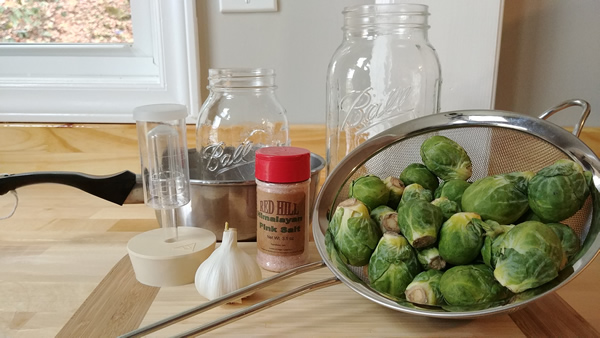 Fermented Brussel Sprout Supplies
