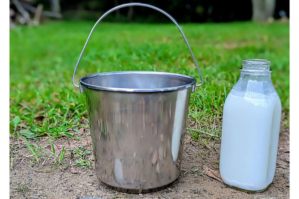 Metal Bucket With Handles