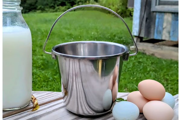 Small Stainless Bucket