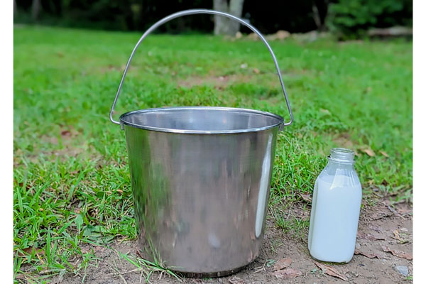 Stainless Steel Pails