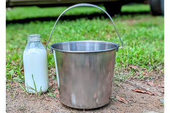 Heavy Duty Stainless Steel Bucket