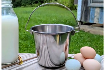 Small Stainless Bucket
