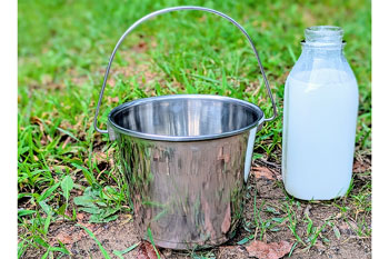 Stainless Steel Water Pail