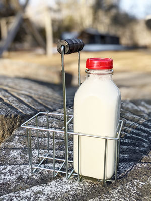 Home & Living Home Décor Old Wire Milk Bottle Carrier 4 Half Gallon