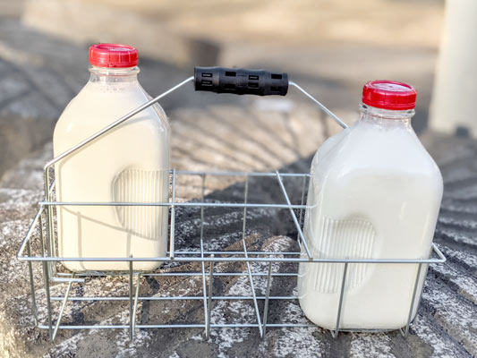 https://www.redhillgeneralstore.com/housewares/kitchen/kitacc/milk/Glass-Milk-Bottle-Carrier.jpg