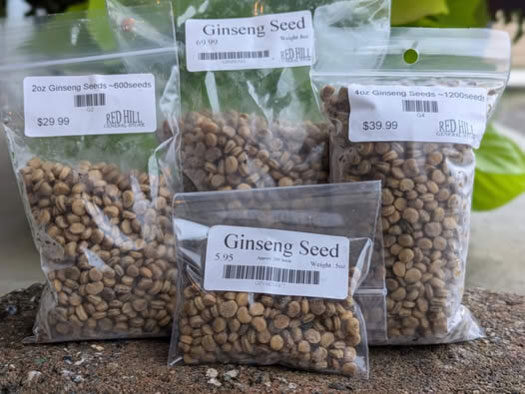 Stratified American ginseng seeds in ½ oz, 2 oz, 4 oz and 8 oz bags from Red Hill General Store