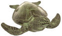 Achla TUR01 Sea Turtle