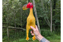 Rubber Chicken